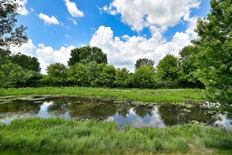 Tiny photo for 572 Tuscan View Drive, Elgin, IL 60124 (MLS # 12613730)