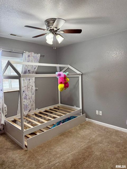 Tiny photo for 2407 Selmaville Road, Salem, IL 62881 (MLS # EB460642)