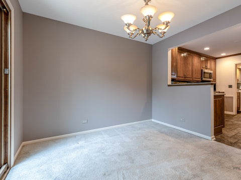 Tiny photo for 230 Parktrail Court, Schaumburg, IL 60173 (MLS # 12744886)