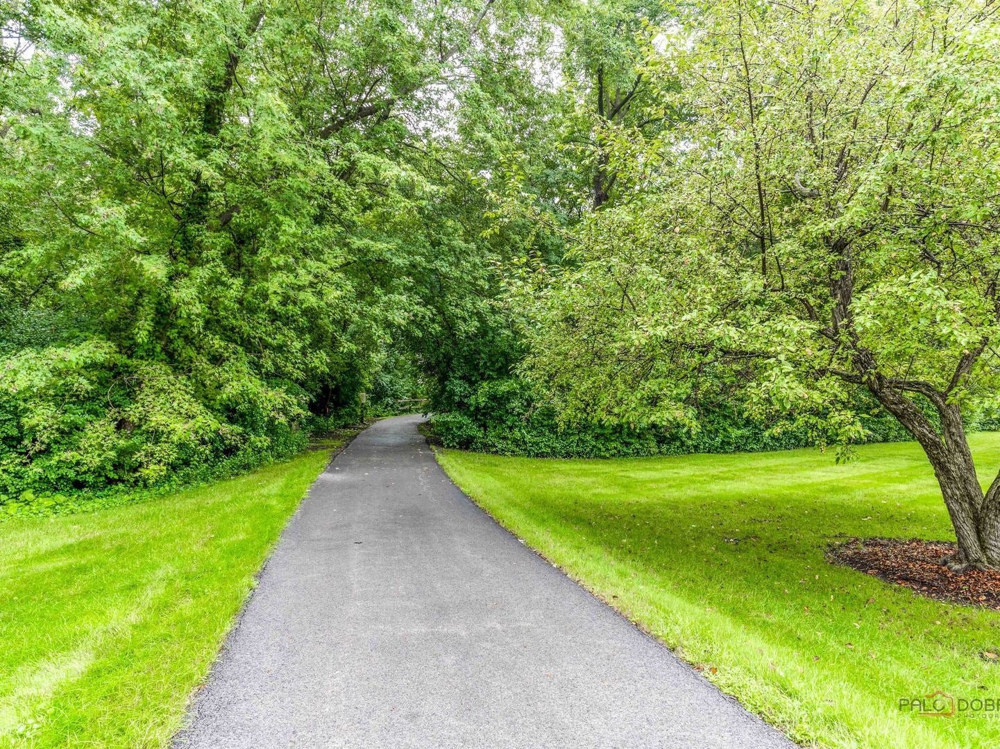 230 Parktrail Court
