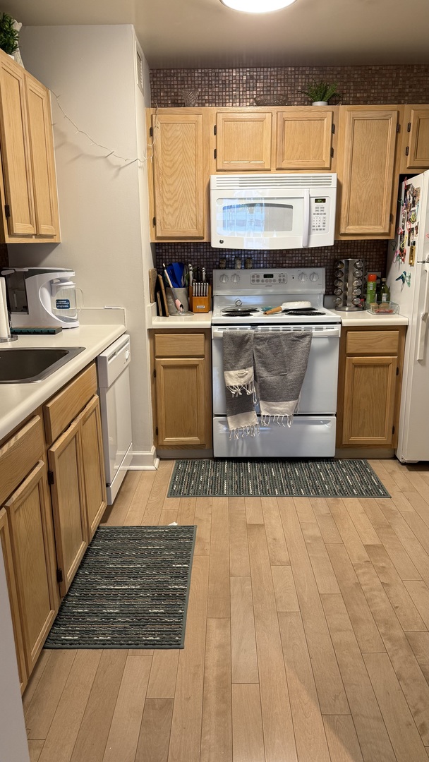 200 N Dearborn Street 1005