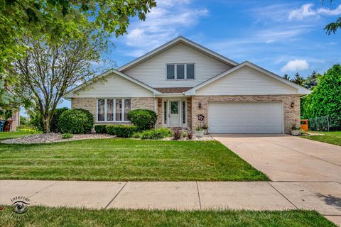 A home in Tinley Park