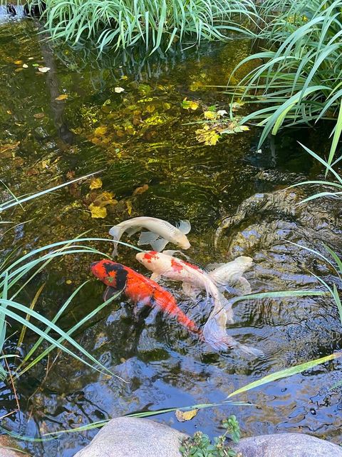 Tiny photo for 42W773 Clover Hill Lane, Elburn, IL 60119 (MLS # 12462049)