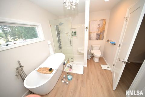 Tiny photo for 4211 FOX CREEK Street, Mt Vernon, IL 62864 (MLS # EB459236)