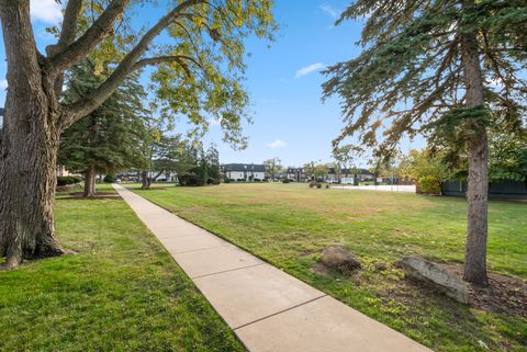 Tiny photo for 11109 S 84th Avenue #1B, Palos Hills, IL 60465 (MLS # 12505388)
