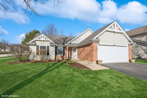 549 Ascot Court Lake Zurich IL 60047