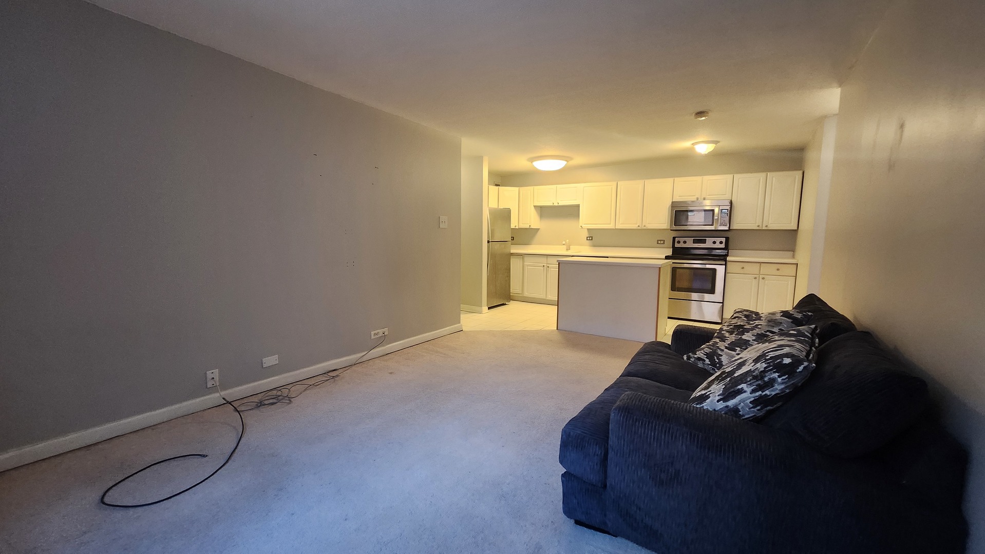 1339 N Dearborn Street 4C