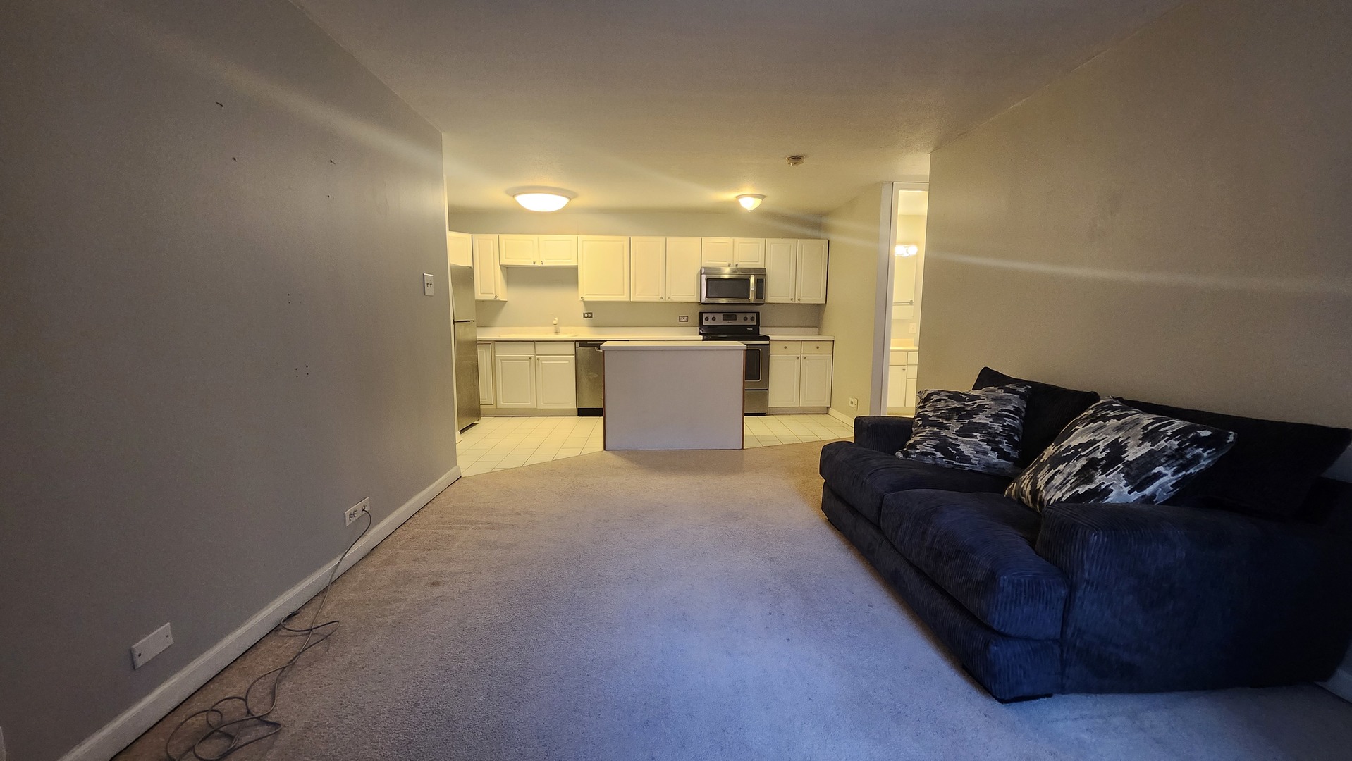 1339 N Dearborn Street 4C