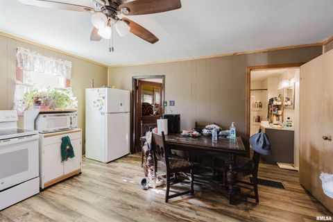 Tiny photo for 1200 W ADAMS Street, Herrin, IL 62948 (MLS # QC4268777)