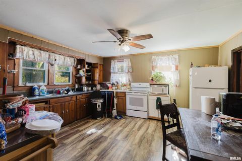 Tiny photo for 1200 W ADAMS Street, Herrin, IL 62948 (MLS # QC4268777)