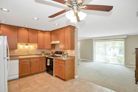 Tiny photo for 123 Fairlane Court #C, Bloomingdale, IL 60108 (MLS # 12466848)