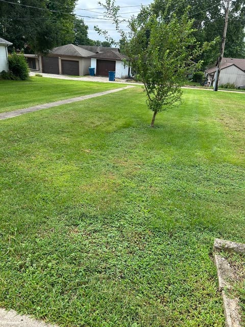 Tiny photo for 423 W Minnesota Street, Spring Valley, IL 61362 (MLS # 12726516)