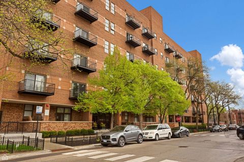 1000 E 53rd Street 501 Chicago IL 60615