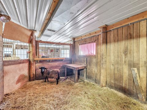 Tiny photo for 29153 S Klemme Road, Beecher, IL 60401 (MLS # 12542837)