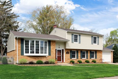 304 N Norman Drive Palatine IL 60074