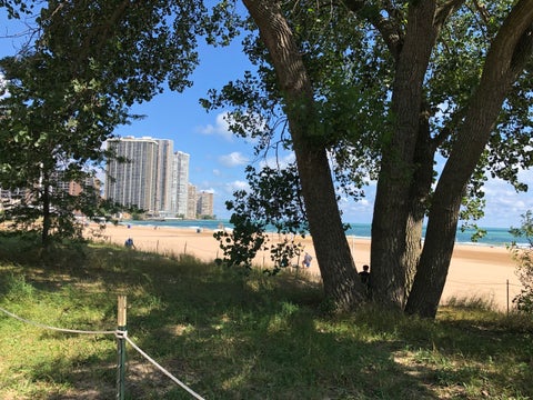 Tiny photo for 940 W Glenlake AVE #42A, Chicago, IL 60660 (MLS # 12766179)