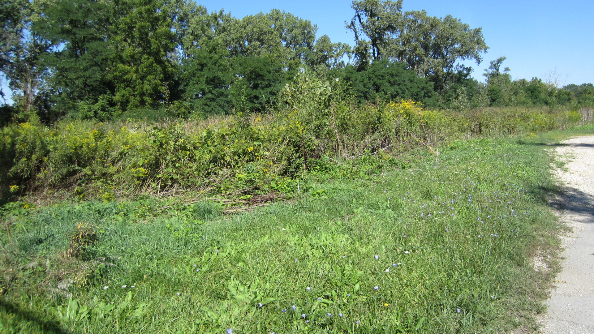 Lot 1, 2, 3, 4 & 5 Nantucket Drive