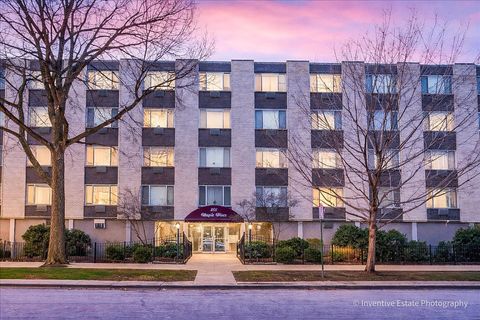 201 S Maple Avenue 111 Oak Park IL 60302