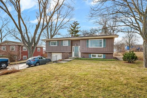 Photo of 533 Hitchcock Avenue, Lisle, IL 60532 (MLS # 12551667)