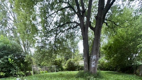 Tiny photo for 2106 Gideon Avenue, Zion, IL 60099 (MLS # 12754883)