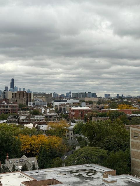 Tiny photo for 555 W Cornelia Avenue #1308, Chicago, IL 60657 (MLS # 12729463)