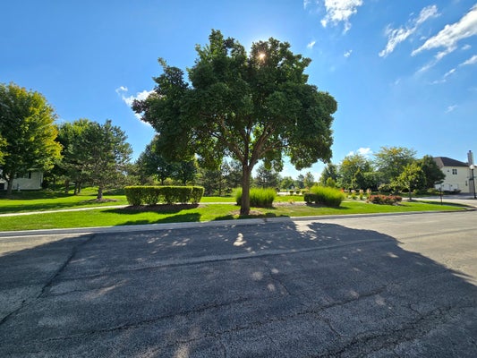 1121 IRON HORSE CT, ELGIN, IL 60124 - Image bf2fc82f906b8268b3c1f91cbca7ae6a/876683805