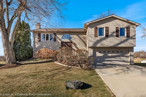 409 N Ashbury Avenue Bolingbrook IL 60440