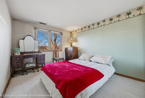 Tiny photo for 409 N Ashbury Avenue, Bolingbrook, IL 60440 (MLS # 12535712)