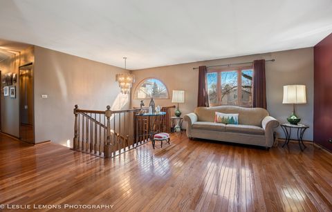 Tiny photo for 409 N Ashbury Avenue, Bolingbrook, IL 60440 (MLS # 12535712)