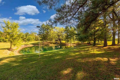 Tiny photo for 2585 Dylan Drive, Marion, IL 62959 (MLS # EB460083)