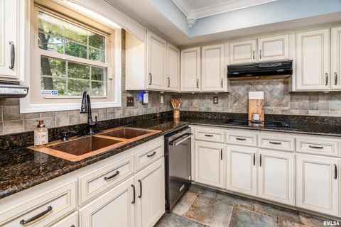 Tiny photo for 2585 Dylan Drive, Marion, IL 62959 (MLS # EB460083)