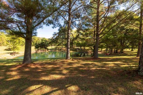 Tiny photo for 2585 Dylan Drive, Marion, IL 62959 (MLS # EB460083)