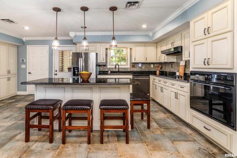 Tiny photo for 2585 Dylan Drive, Marion, IL 62959 (MLS # EB460083)