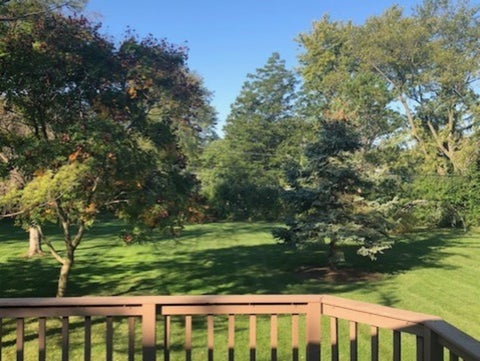 Tiny photo for 6918 Parkside Avenue, Countryside, IL 60525 (MLS # 12677650)