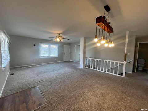 Tiny photo for 314 E 8TH Street, Metropolis, IL 62960 (MLS # EB460750)