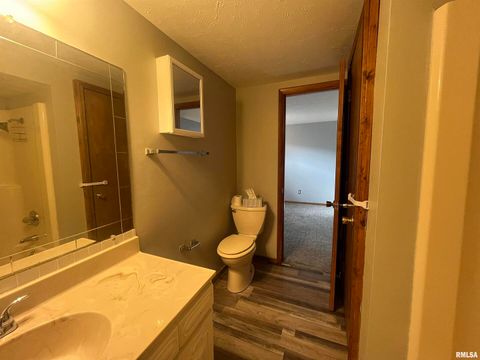 Tiny photo for 314 E 8TH Street, Metropolis, IL 62960 (MLS # EB460750)