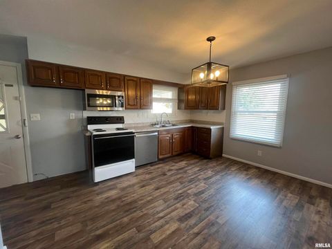 Tiny photo for 314 E 8TH Street, Metropolis, IL 62960 (MLS # EB460750)