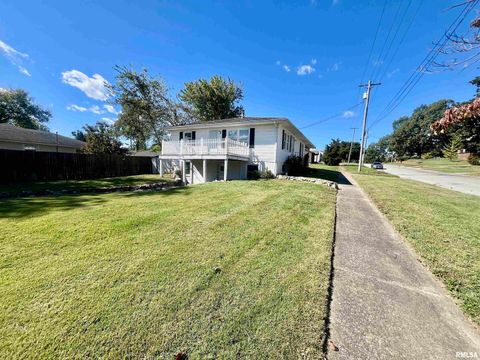 Tiny photo for 314 E 8TH Street, Metropolis, IL 62960 (MLS # EB460750)