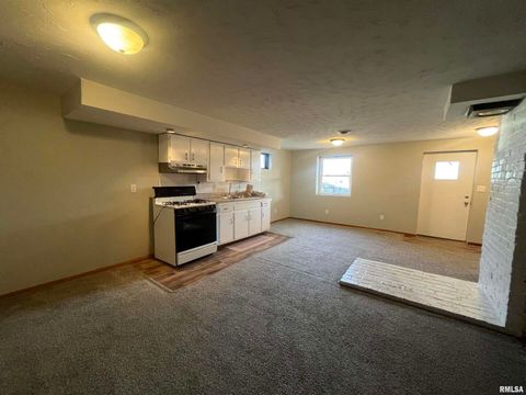 Tiny photo for 314 E 8TH Street, Metropolis, IL 62960 (MLS # EB460750)