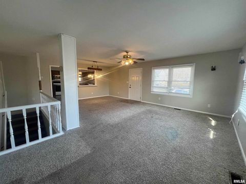 Tiny photo for 314 E 8TH Street, Metropolis, IL 62960 (MLS # EB460750)