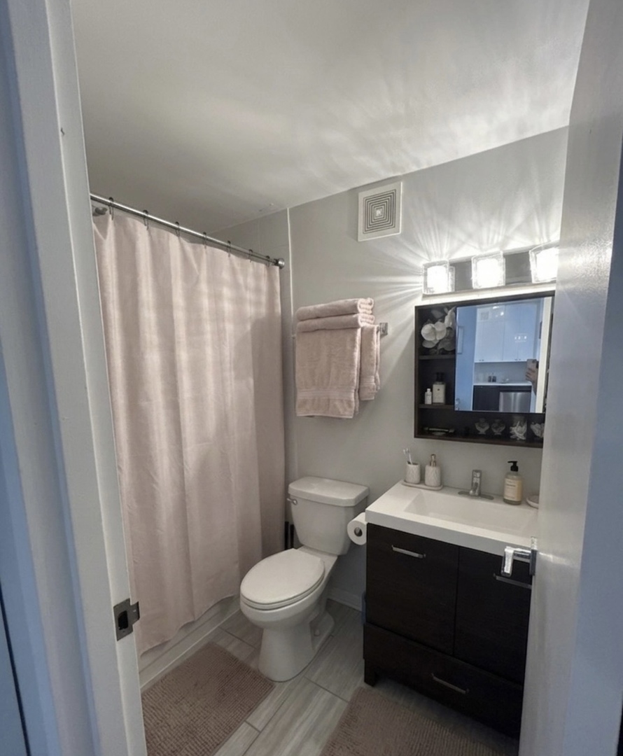 33 W DELAWARE Place 10D