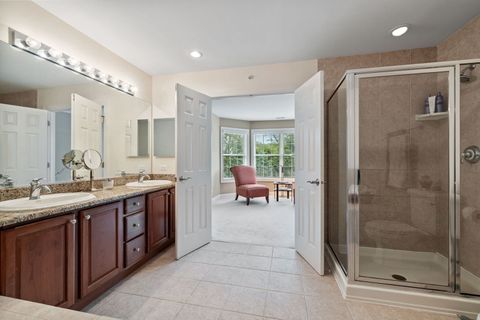 Tiny photo for 805 Stone Canyon Circle, Inverness, IL 60010 (MLS # 12500142)