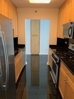 33 W Ontario Street 20F