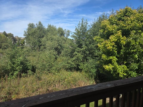 Tiny photo for 1510 W Remington Lane #1510, Round Lake, IL 60073 (MLS # 12762110)