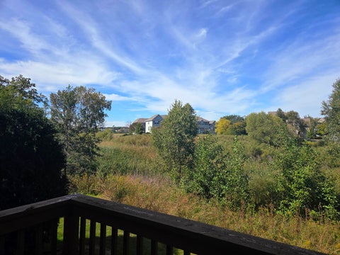 Tiny photo for 1510 W Remington Lane #1510, Round Lake, IL 60073 (MLS # 12762110)