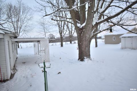 Tiny photo for 200 1ST Avenue, Sherrard, IL 61281 (MLS # QC4270084)
