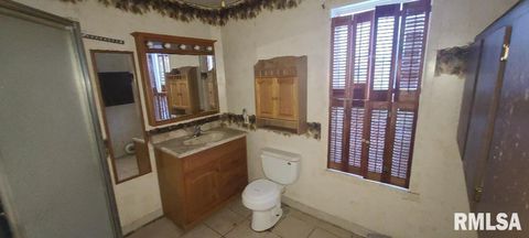 Tiny photo for 200 1ST Avenue, Sherrard, IL 61281 (MLS # QC4270084)