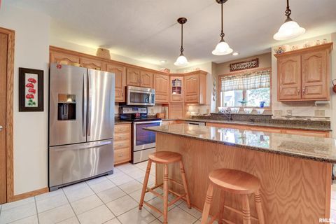 Tiny photo for 582 BREEZY POINT Drive, Clinton, IA 52732 (MLS # QC4267579)