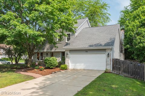 114 Austin Court Vernon Hills IL 60061