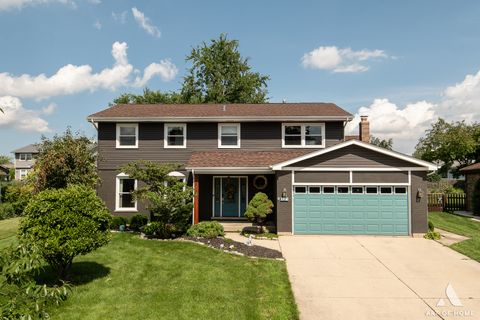 1109 Beach Comber Drive Schaumburg IL 60193